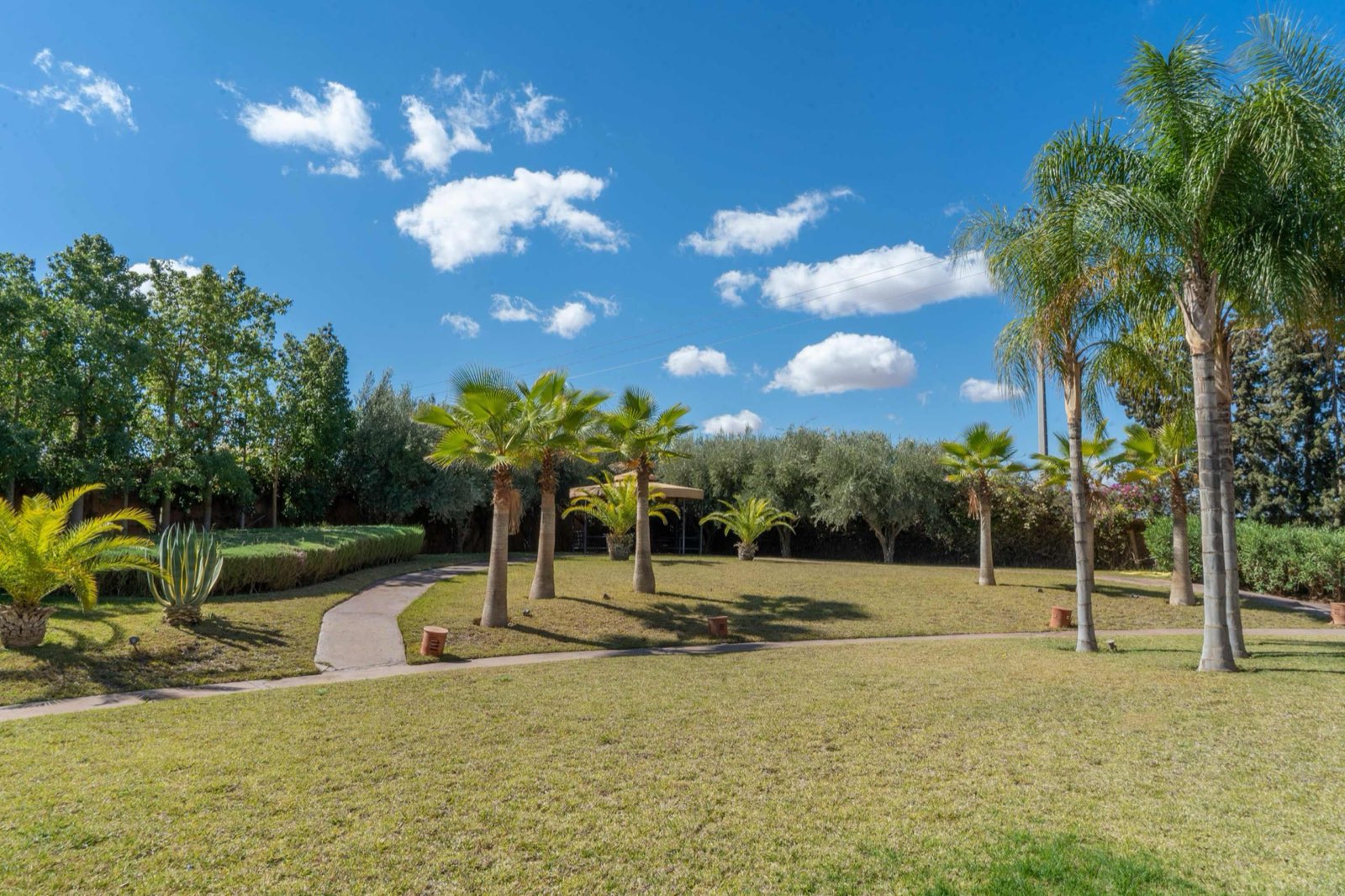 Villa Anna, photo 2